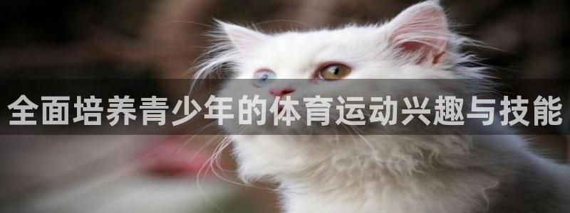 678体育官网地址：全面培养青少年的体育运动兴趣与技能