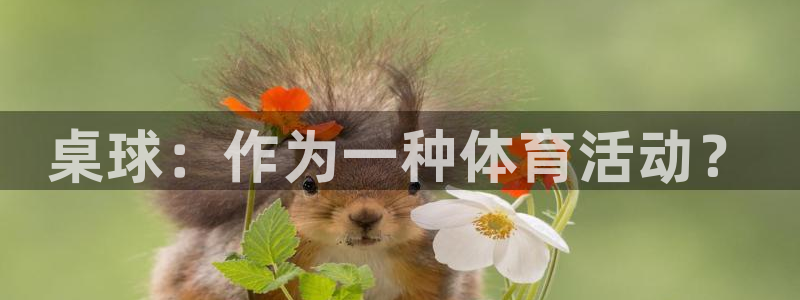678体育知识：桌球：作为一种体育活动？