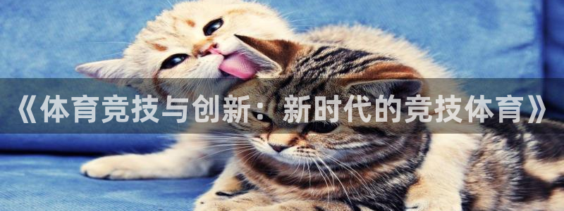 678体育app：《体育竞技与创新：新时代的竞技体育》