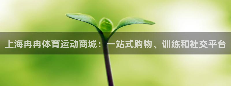 678体育官网下载：上海冉冉体育运动商城：一站式购物、训练和社交平台