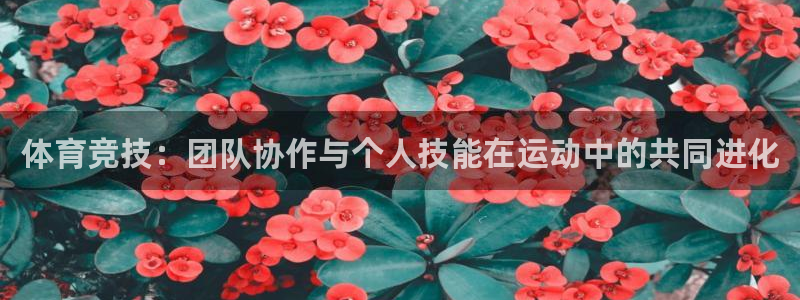 678体育app：体育竞技：团队协作与个人技能在运动中的共同进化