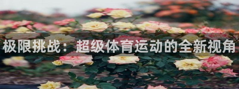 678体育官网地址：极限挑战：超级体育运动的全新视角