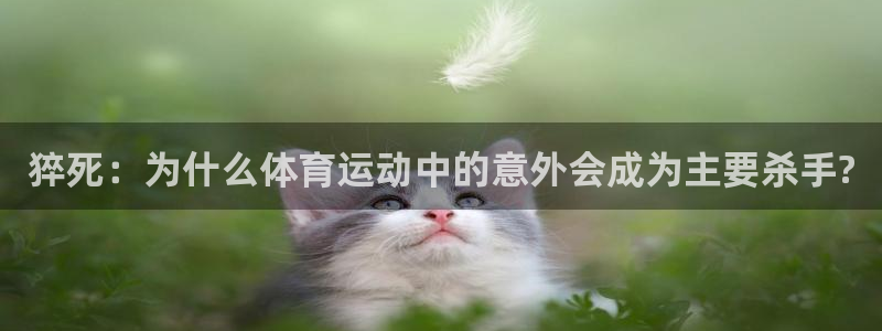 678体育官网地址：猝死：为什么体育运动中的意外会成为主要杀手?