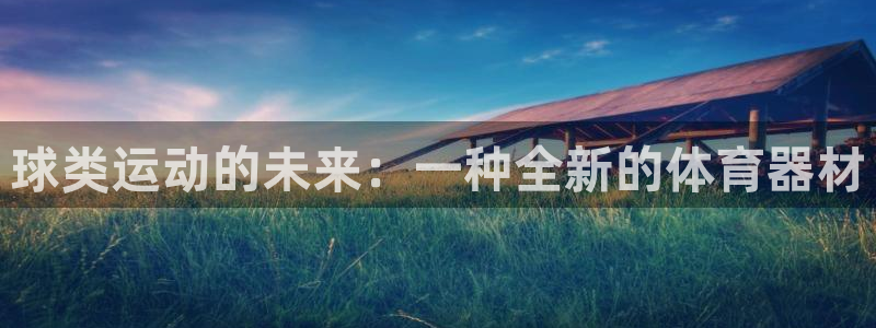 678体育官网下载：球类运动的未来：一种全新的体育器材