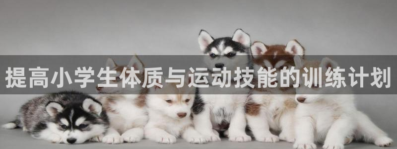 678体育知识：提高小学生体质与运动技能的训练计划
