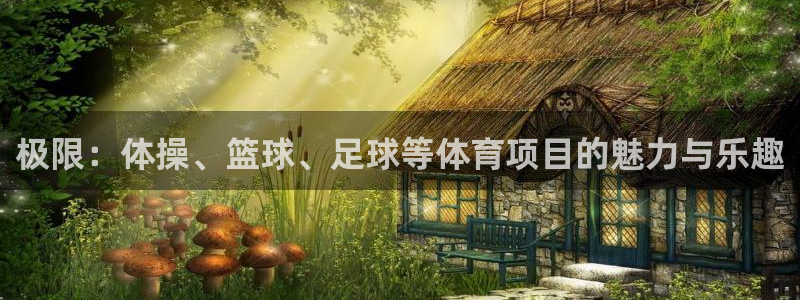 678体育官网：极限：体操、篮球、足球等体育项目的魅力与乐趣